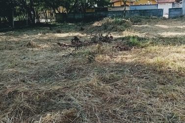 Terreno &agrave; venda - 769m&sup2; - LOTEAMENTO VALE DAS FLORES