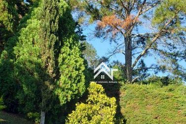 Ch&aacute;cara &agrave; venda - 2500m&sup2; - Ch&aacute;caras Fern&atilde;o Dias
