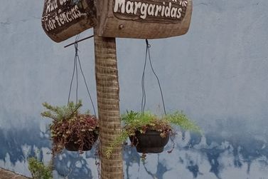 Terreno &agrave; venda - 769m&sup2; - LOTEAMENTO VALE DAS FLORES