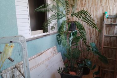 Casa &agrave; venda - JARDIM IMPERIAL
