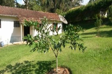 Ch&aacute;cara &agrave; venda - 6000m&sup2; - Tanque