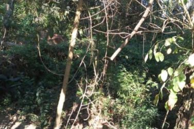 Terreno &agrave; venda - 620m&sup2; - JARDIM PAULISTA