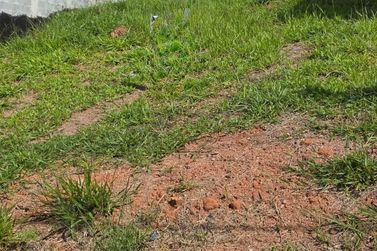 Terreno &agrave; venda - 360m&sup2; - Alpes de Atibaia