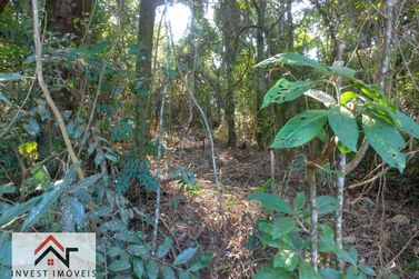 Terreno &agrave; venda - 16382m&sup2; - Est&acirc;ncia Santa Maria do Port&atilde;o