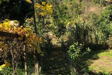 S&iacute;tio &agrave; venda - TERRA PRETA