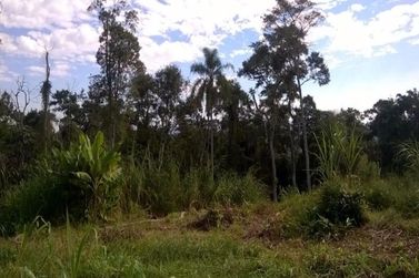 Terreno &agrave; venda - 36054m&sup2; - JARDIM HELENA