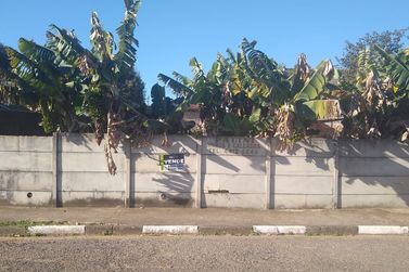 Terreno &agrave; venda - 650m&sup2; - CAETETUBA