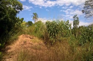 Terreno &agrave; venda - 36054m&sup2; - JARDIM HELENA