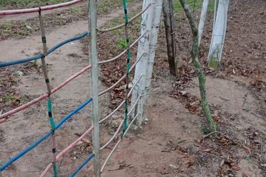 Terreno &agrave; venda - 20000m&sup2; - cachoeirinha
