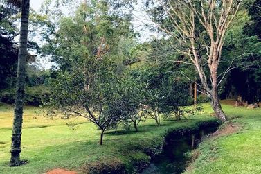 S&iacute;tio para alugar - 122000m&sup2; - Condom&iacute;nio Residencial Reserva Ecol&oacute;gica Atibaia