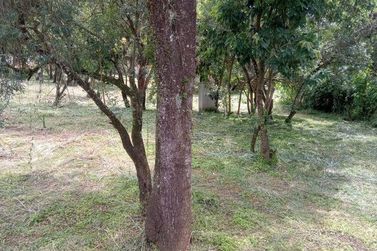 Terreno &agrave; venda - 673m&sup2; - Vit&oacute;ria R&eacute;gia