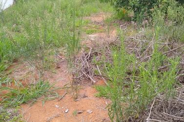 Terreno &agrave; venda - 3525m&sup2; - RIBEIR&Atilde;O DOS PORCOS