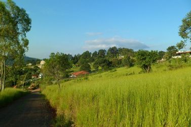 Terreno &agrave; venda - 1000m&sup2; - Ch&aacute;caras Fern&atilde;o Dias