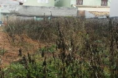 Terreno &agrave; venda - 360m&sup2; - Vila Rica