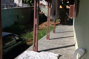 Casa &agrave; venda - JARDIM IMPERIAL