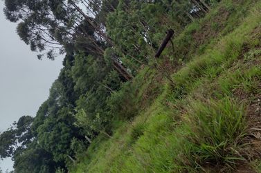 Terreno &agrave; venda - 1000m&sup2; - pinhal grande