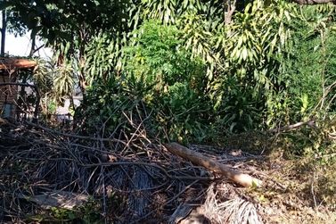 Ch&aacute;cara &agrave; venda - 100m&sup2; - JARDIM IMPERIAL