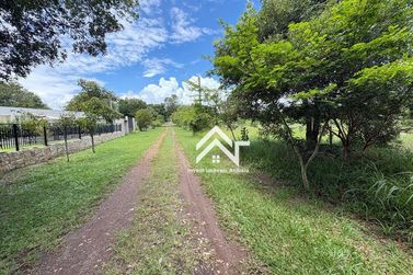 Terreno &agrave; venda - 1000m&sup2; - Ponte Alta
