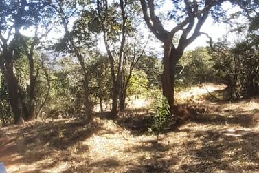 Terreno &agrave; venda - 1000m&sup2; - EST&Acirc;NCIA SANTA MARIA DO LARANJAL