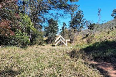 Terreno &agrave; venda - 40000m&sup2; - Canedos