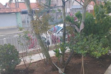Casa &agrave; venda - JARDIM ALVIN&Oacute;POLIS