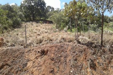 Terreno &agrave; venda - 1237m&sup2; - Bosque dos Eucal&iacute;ptos