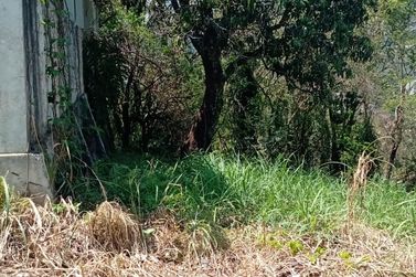 Terreno &agrave; venda - 3800m&sup2; - CENTRO