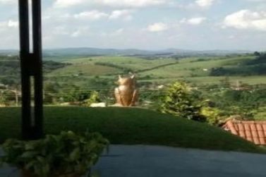 Ch&aacute;cara &agrave; venda - 260m&sup2; - Vit&oacute;ria R&eacute;gia