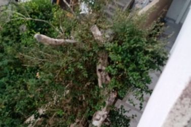 Sobrado &agrave; venda - JARDIM PAULISTA