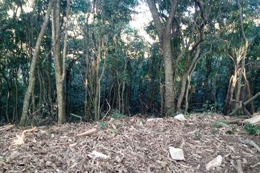 S&iacute;tio &agrave; venda - CACHOEIRA