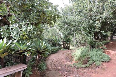 S&iacute;tio &agrave; venda - 200m&sup2; - CAMPO LARGO