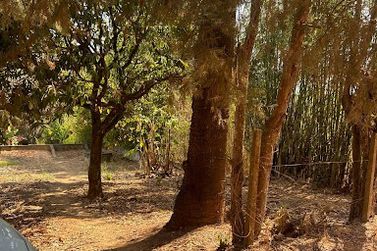 Terreno &agrave; venda - 450m&sup2; - Ros&aacute;rio