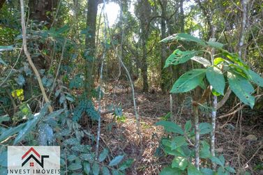 Terreno &agrave; venda - 16382m&sup2; - Est&acirc;ncia Santa Maria do Port&atilde;o