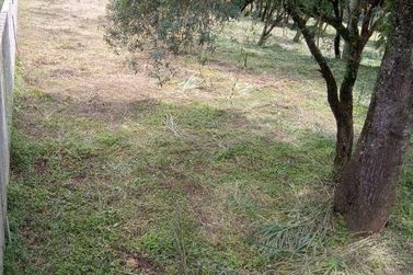 Terreno &agrave; venda - 500m&sup2; - Vit&oacute;ria R&eacute;gia