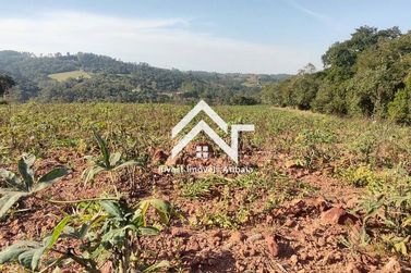 Terreno &agrave; venda - 20000m&sup2; - Iara