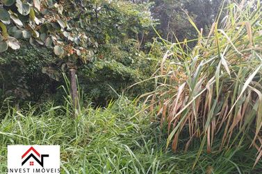 Terreno &agrave; venda - 704m&sup2; - Jardim Paulista