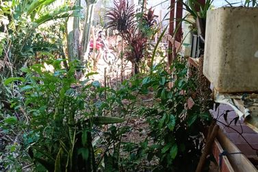 Ch&aacute;cara &agrave; venda - 100m&sup2; - JARDIM IMPERIAL