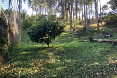 S&iacute;tio &agrave; venda - TERRA PRETA