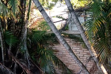 Ch&aacute;cara &agrave; venda - 100m&sup2; - JARDIM IMPERIAL