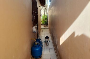 Casa &agrave; venda - JARDIM ALVIN&Oacute;POLIS