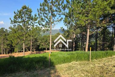 Terreno &agrave; venda - 20000m&sup2; - Ros&aacute;rio