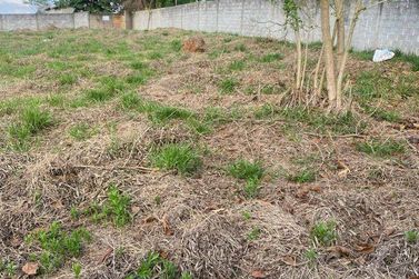 Terreno &agrave; venda - 1000m&sup2; - Est&acirc;ncia Santa Maria do Port&atilde;o