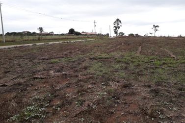 Terreno &agrave; venda - 5000m&sup2; - Rio Abaixo
