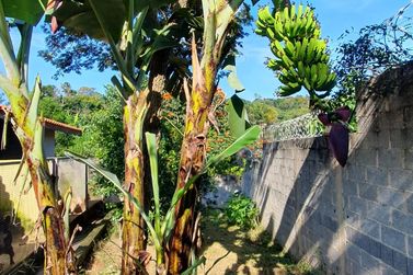 Ch&aacute;cara &agrave; venda - JARDIM EST&Acirc;NCIA BRASIL