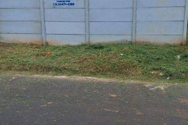Terreno &agrave; venda - 175m&sup2; - Loteamento Vale Das Flores