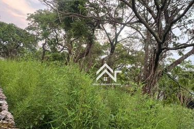 Terreno &agrave; venda - 550m&sup2; - Nova Gard&ecirc;nia