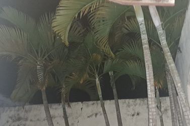 Casa &agrave; venda - JARDIM ALVIN&Oacute;POLIS
