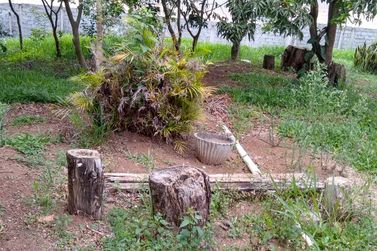 Terreno &agrave; venda - 3525m&sup2; - RIBEIR&Atilde;O DOS PORCOS