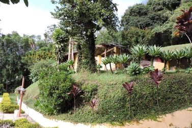 S&iacute;tio &agrave; venda - 200m&sup2; - CAMPO LARGO