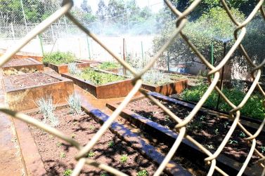 Terreno &agrave; venda - 2650m&sup2; - LARANJAL
